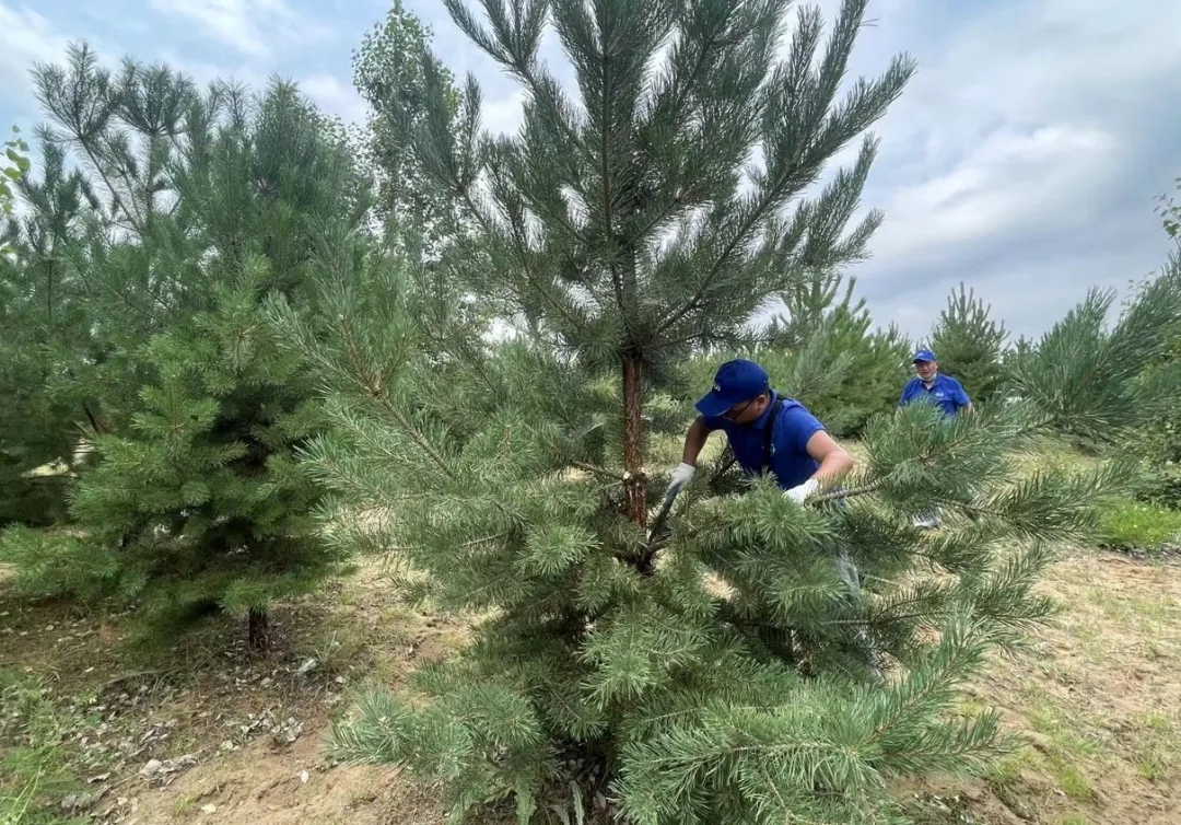 640_wx_fmt=jpeg&from=appmsg&tp=webp&wxfrom=5&wx_lazy=1&wx_co=1.webp (14).jpg